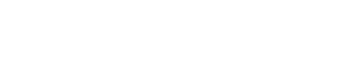 BB Servizi